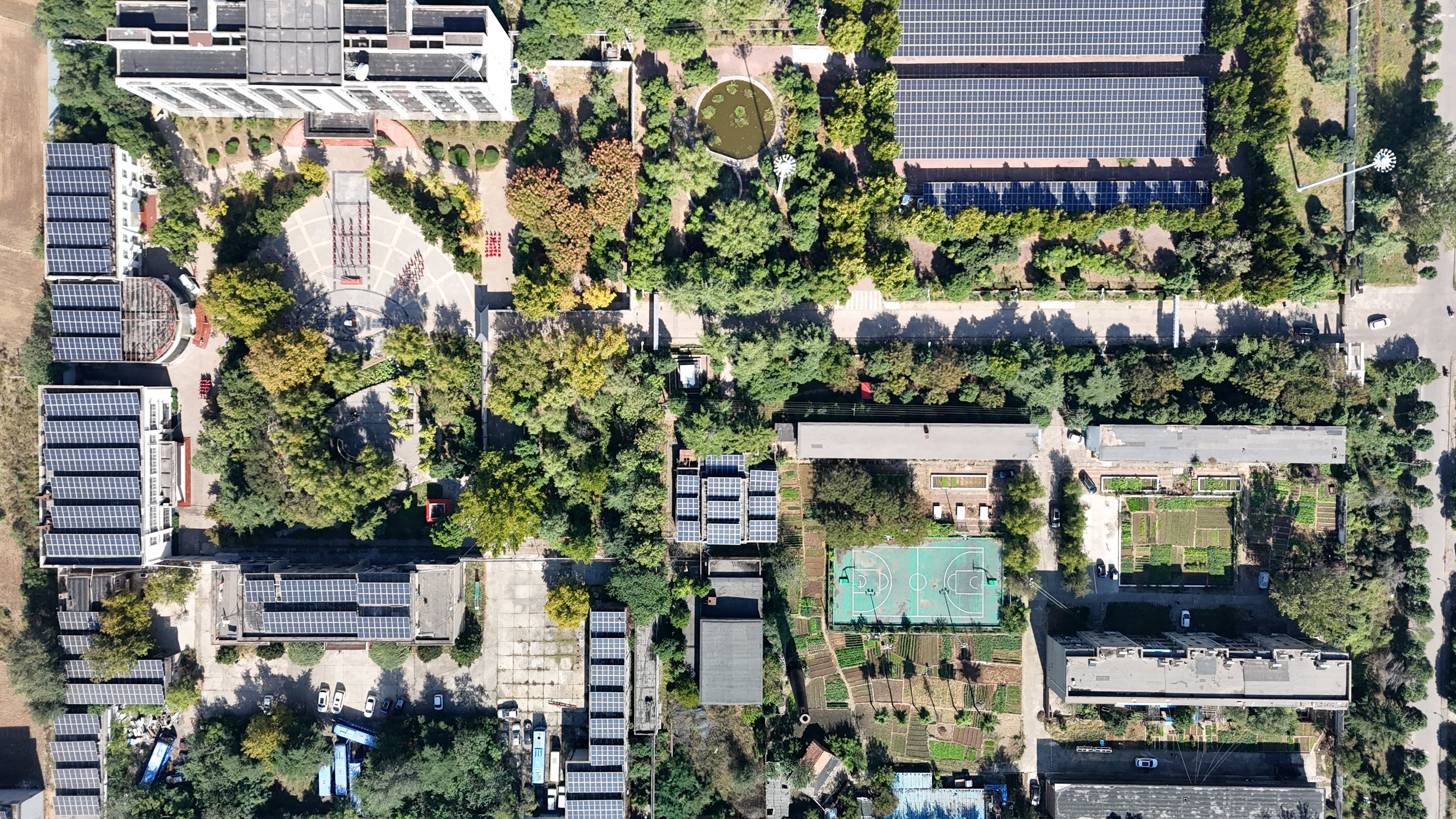 小屯校区